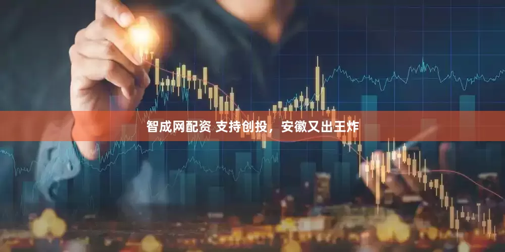 智成网配资 支持创投，安徽又出王炸