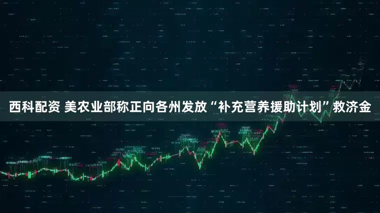 西科配资 美农业部称正向各州发放“补充营养援助计划”救济金