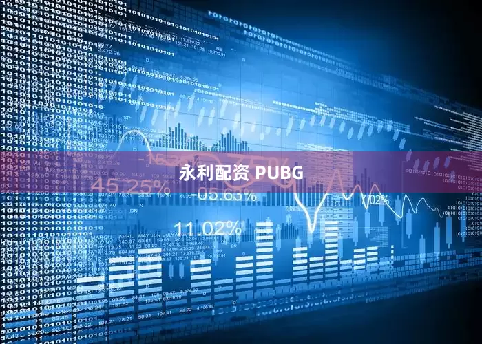 永利配资 PUBG