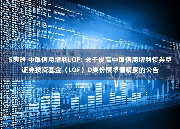 5策略 中银信用增利LOF: 关于提高中银信用增利债券型证券投资基金（LOF）D类份额净值精度的公告