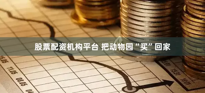 股票配资机构平台 把动物园“买”回家